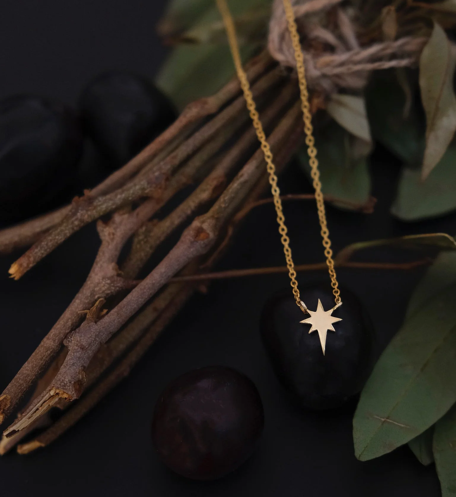Gold North Star Necklace - Image 4