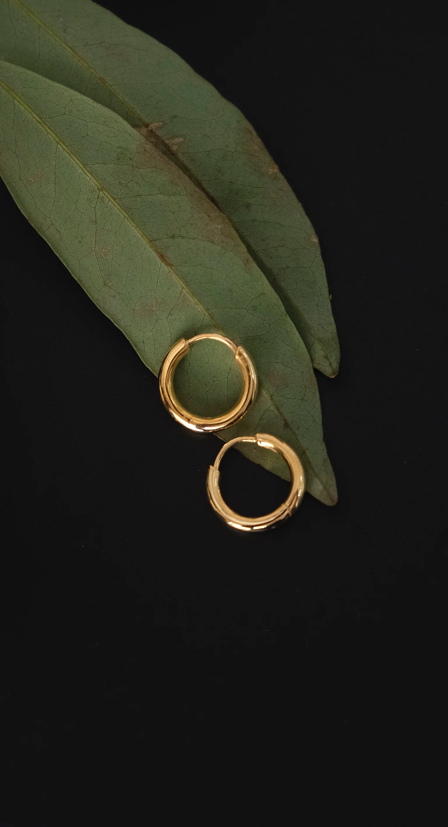 Small Hoops - Image 3